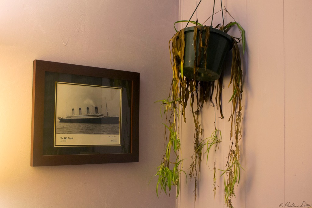 keeping plants titanic poster